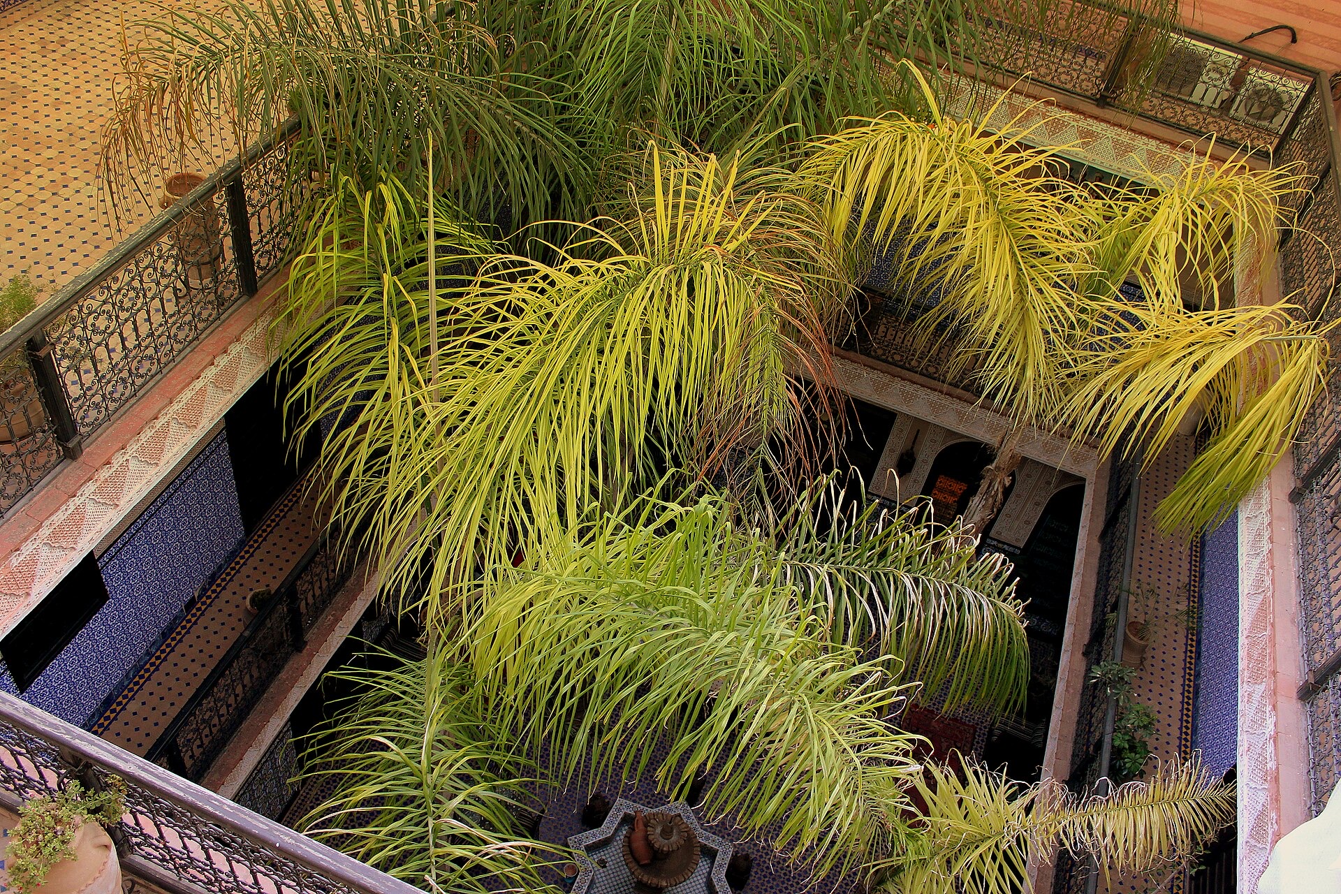 A quiet riad courtyard in Marrakech, palms rising over tiled water